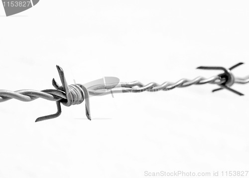 Image of Barbwire