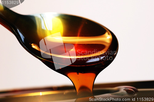 Image of Honey on Spoon