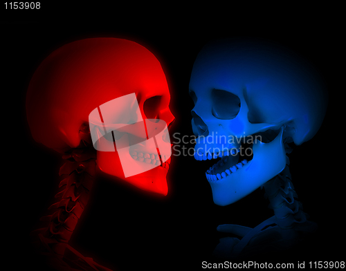 Image of Red And Blue Skeletons 