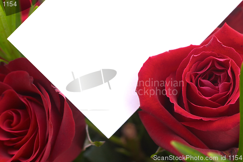 Image of Red rose and greeting card 1