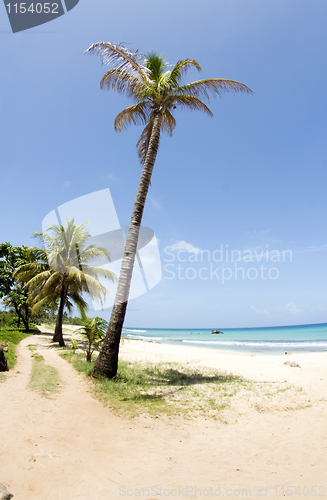 Image of Waula Point Paraiso Beach Corn Island Nicaragua