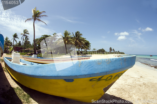 Image of fishing boat with coconut trees Waula Point Corn Island Nicaragu