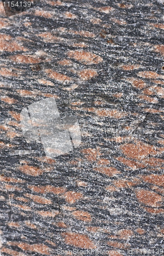 Image of Gneiss