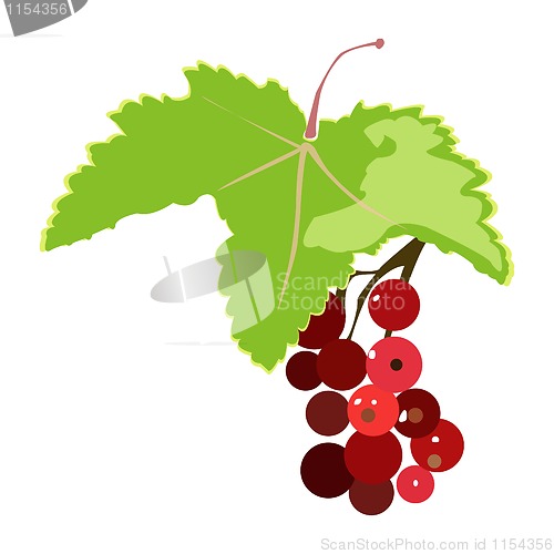 Image of bunch of red currant illustration