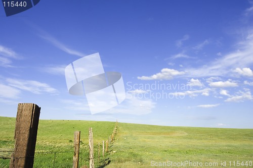 Image of Fence line