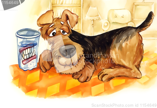 Image of senior dog with teeth denture