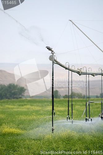 Image of irrigation sprinkler system