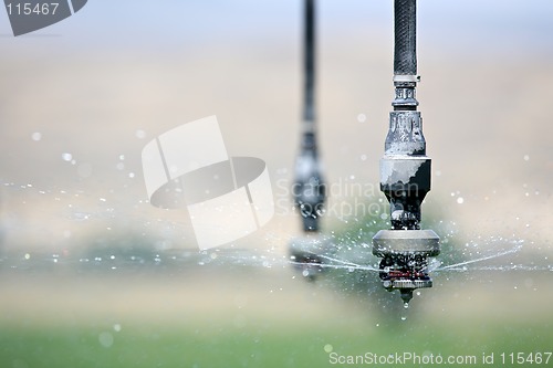 Image of irrigation close up