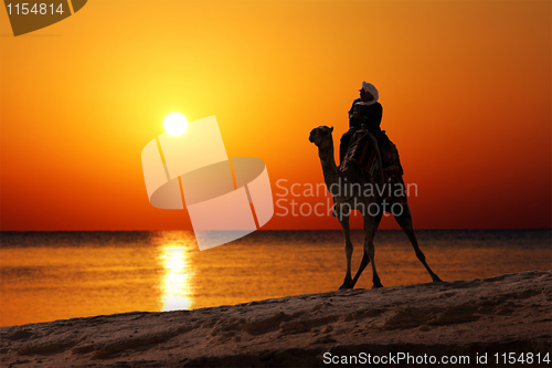 Image of bedouin on camel silhouette against sunrise