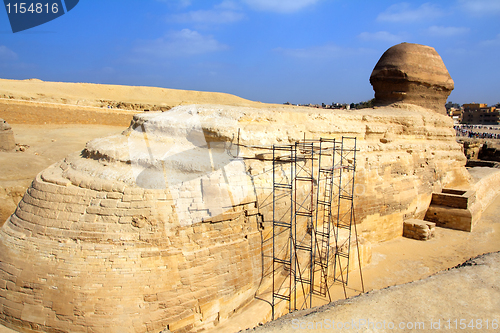 Image of famous egypt sphinx in Giza from behind