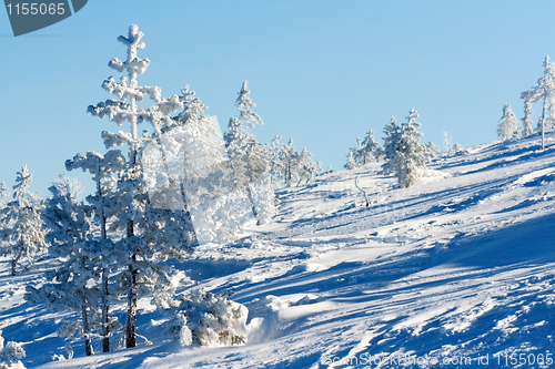 Image of winter landscape