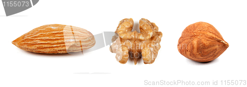 Image of collage of the three nuts