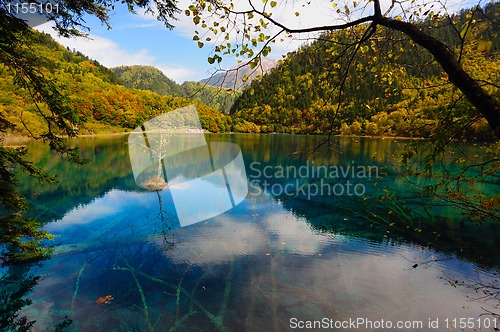 Image of Forest and lake landscape of China jiuzhaigou