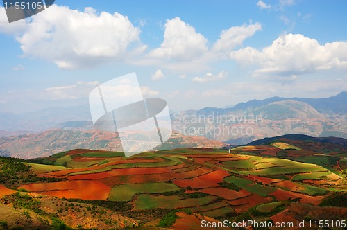 Image of Field landscapes