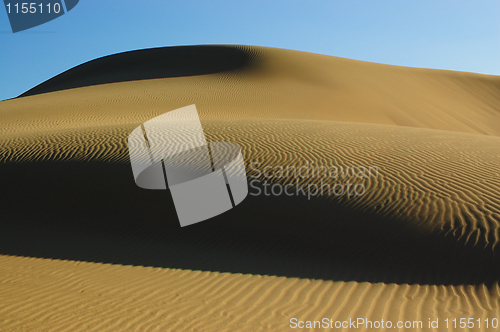 Image of Desert detail