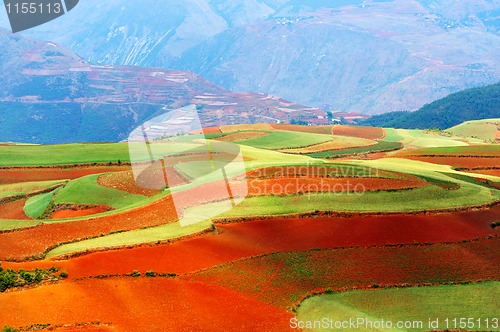 Image of Beautiful fields landscapes