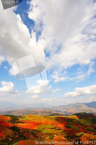 Image of Field landscapes