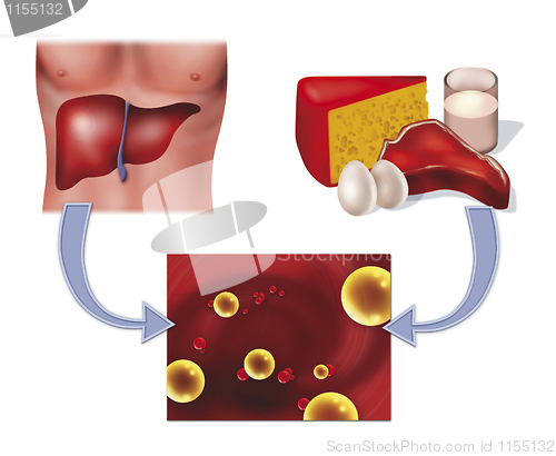 Image of cholesterol in food