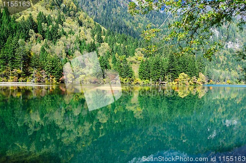 Image of Forest and lake landscape of China jiuzhaigou