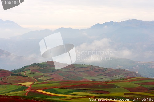 Image of Fields landscapes