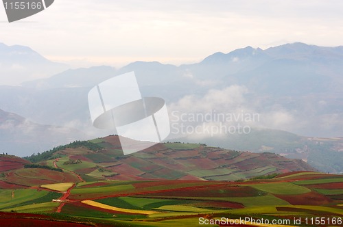 Image of Fields landscapes