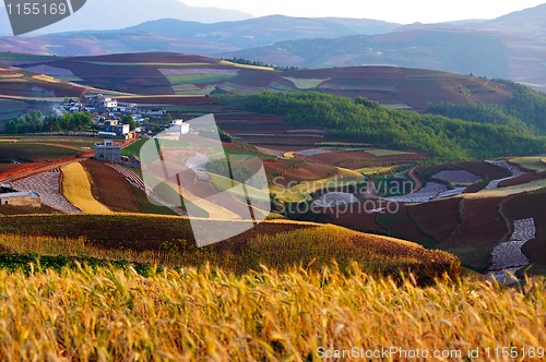 Image of China rural landscape
