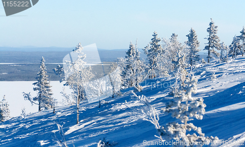 Image of winter landscape