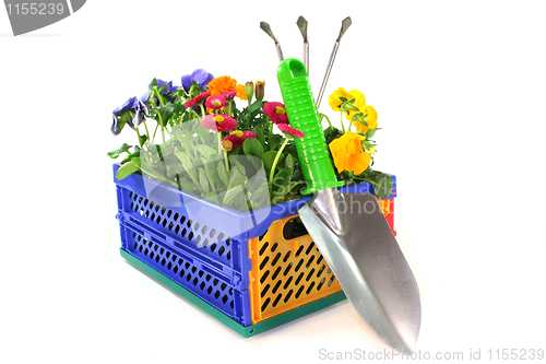 Image of Balcony plants in a folding box