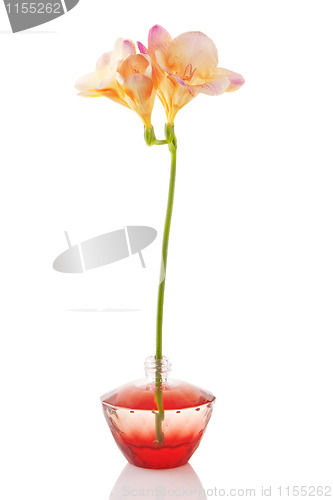 Image of perfume bottle and flower 