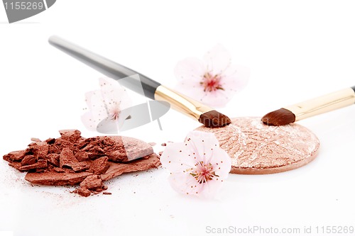 Image of brown powder for makeup and two brush