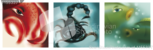 Image of cancer, scorpio and pisces zodiac signs