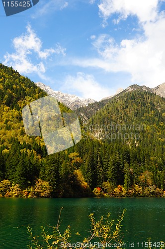 Image of Forest and lake landscape of China jiuzhaigou