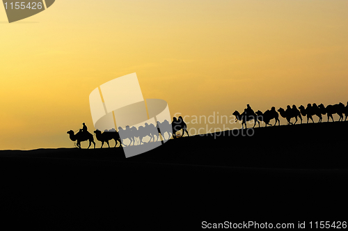 Image of Desert dawn