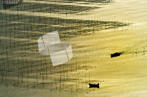 Image of Seaweed farm