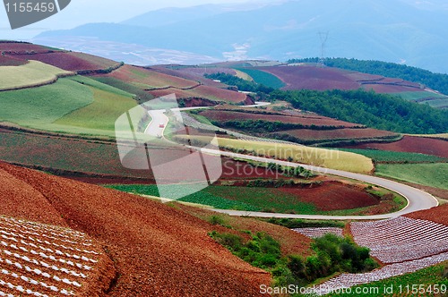 Image of Red land