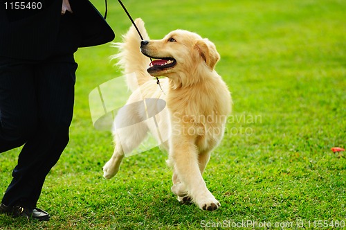 Image of Master playing with his dog