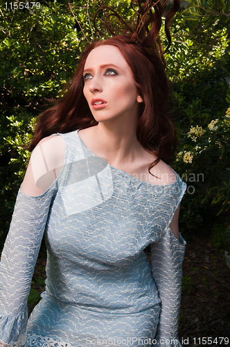 Image of Redhead