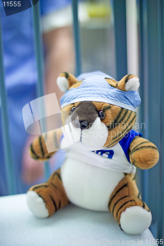 Image of Stuffed animals dressed in operating room attire are often given to pediatric patients to help them cope with their surgery. A tiger wears a scrub hat. (High resolution,14MP camera)