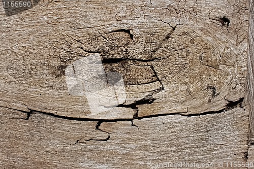 Image of Fragment of old wooden board