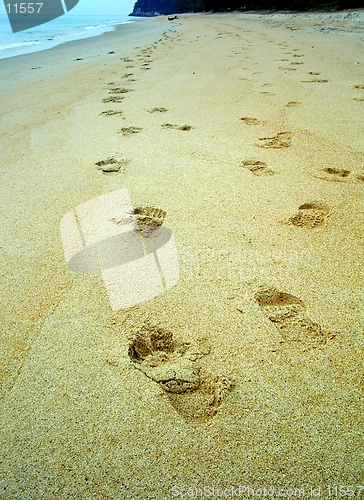 Image of Beach-09