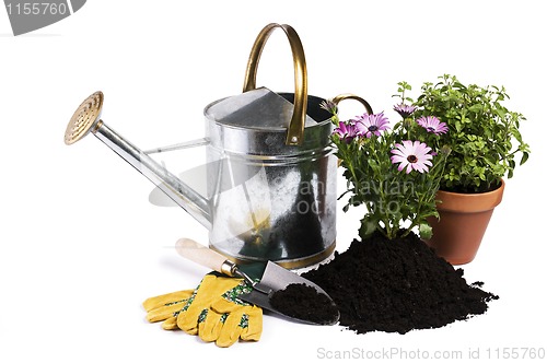 Image of Gardening