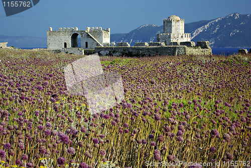 Image of Purple Castle