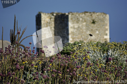 Image of Old Castle