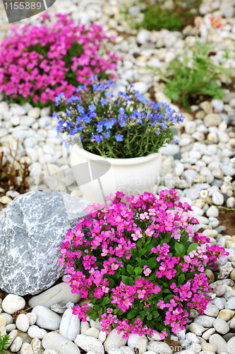 Image of Rock garden