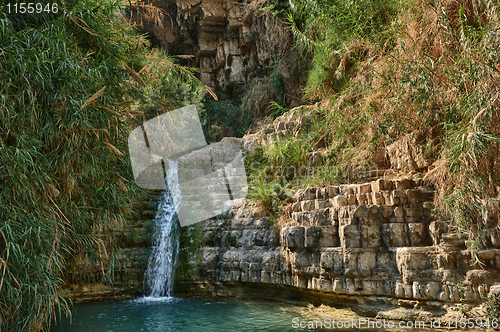 Image of Ein Gedi Nature Reserve off the coast of the Dead Sea