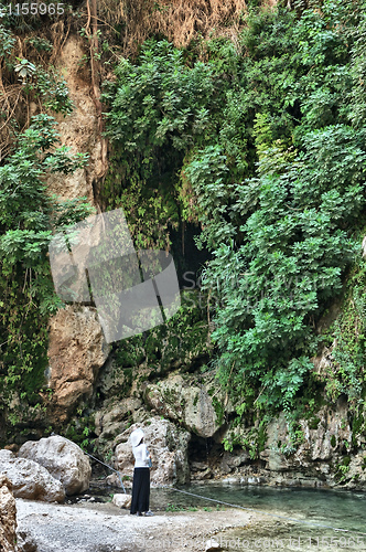 Image of Ein Gedi Nature Reserve off the coast of the Dead Sea