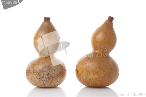 Image of Gourds