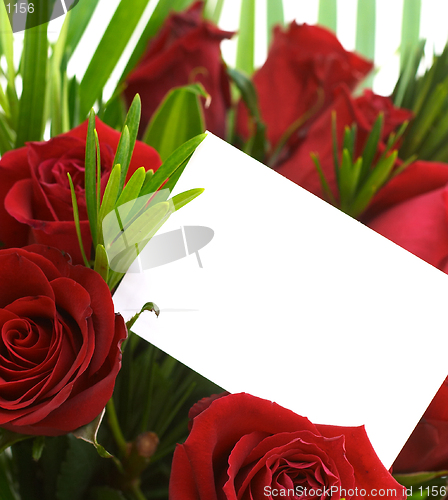 Image of Red roses and greeting card 4