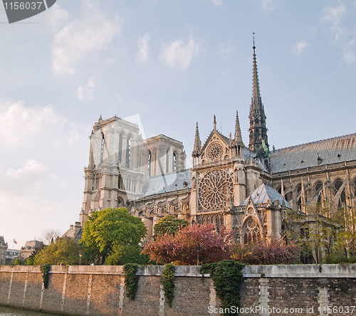 Image of Notre Dame de Paris in spring time