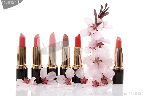 Image of different red lipstick and cherry flower, beauty concept